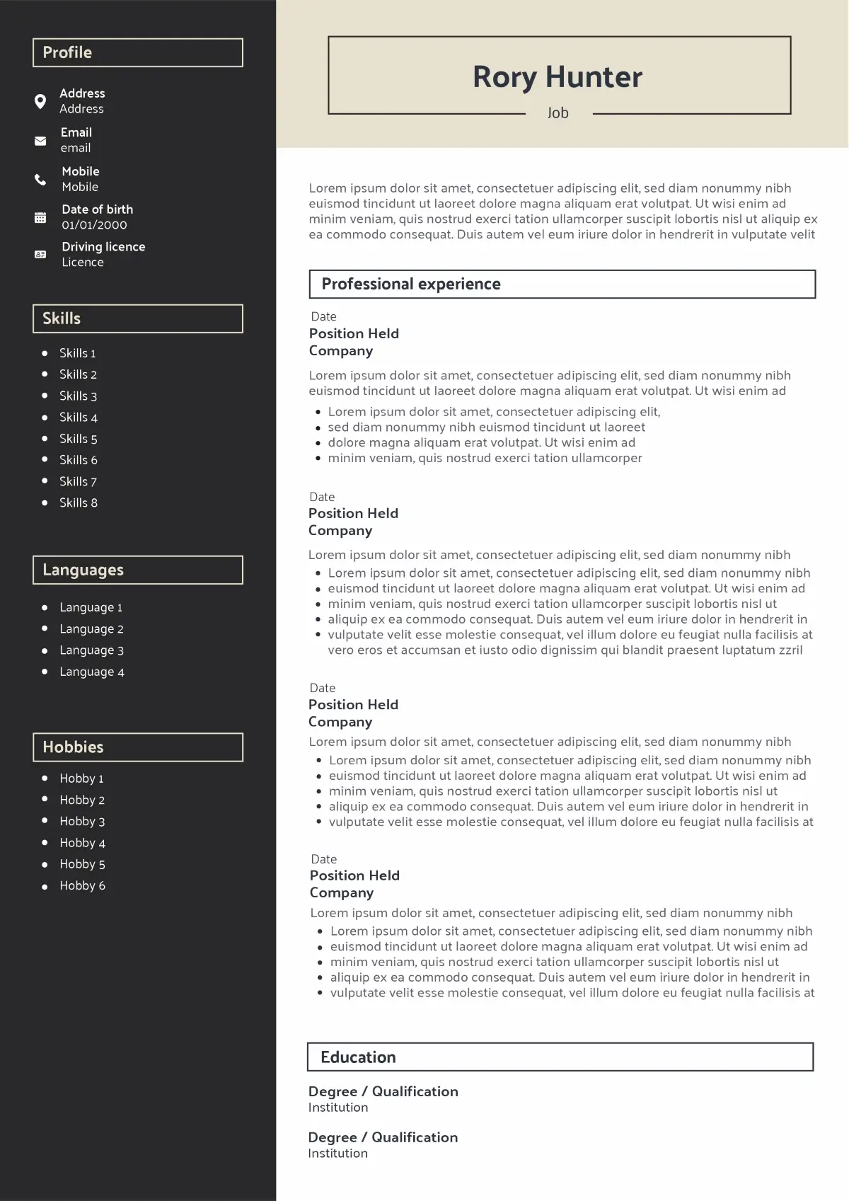 modern CV template without picture