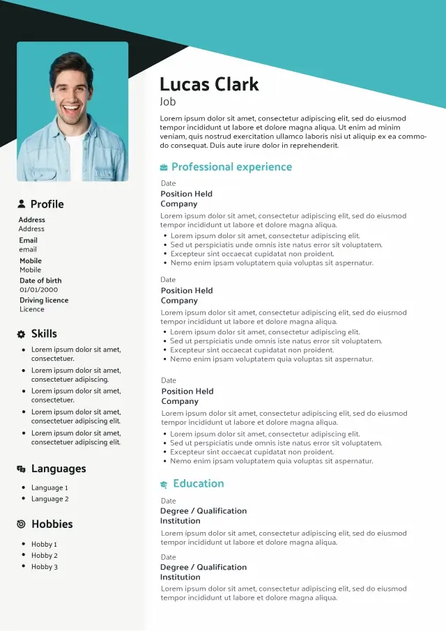 original and graphic cv example