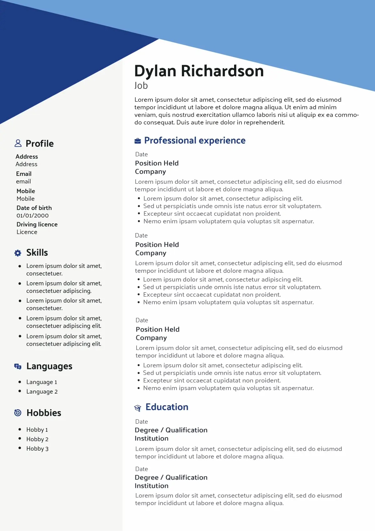graphic CV template without picture