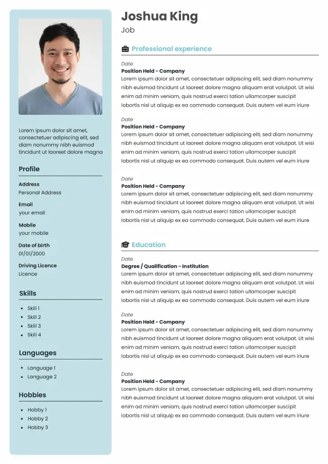 modern cv template with one sidebar