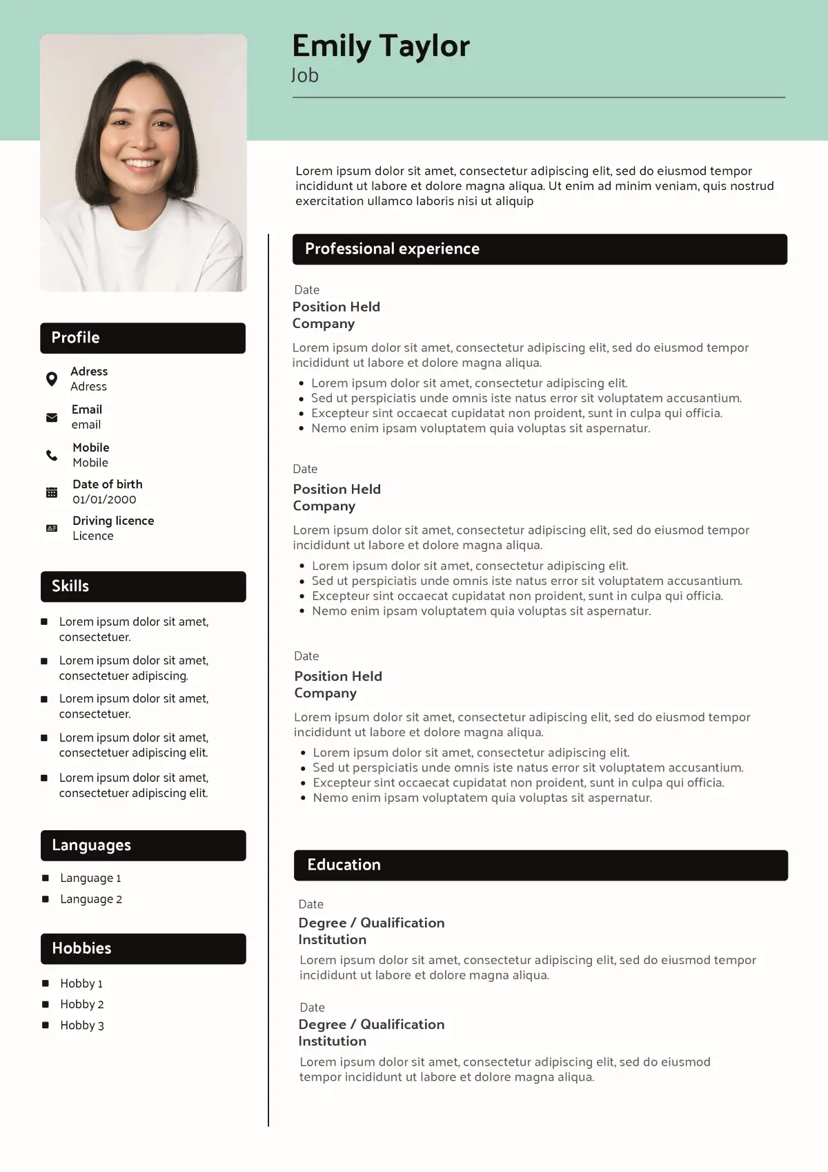 CV template without picture