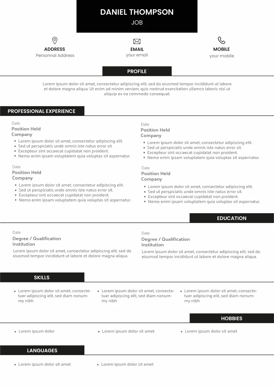 Vienne CV template