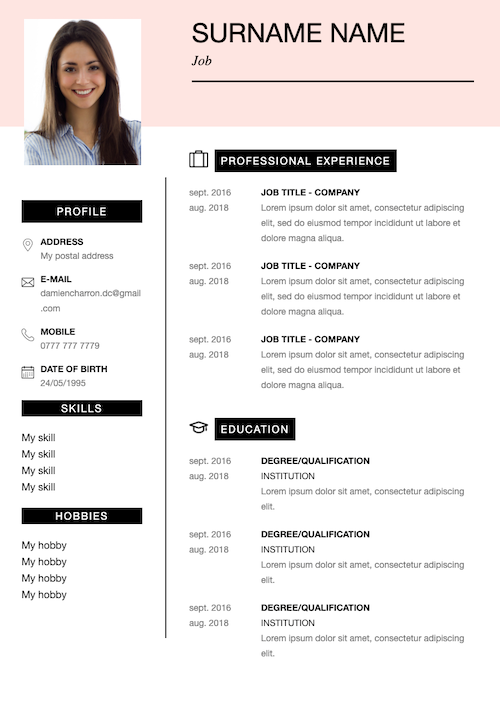 how-to-write-business-profile-template-professional-sample-template