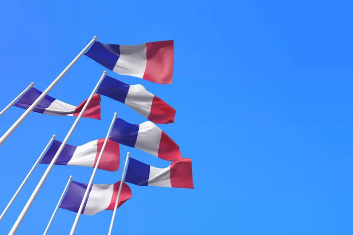 french flag to show this page is about french cv